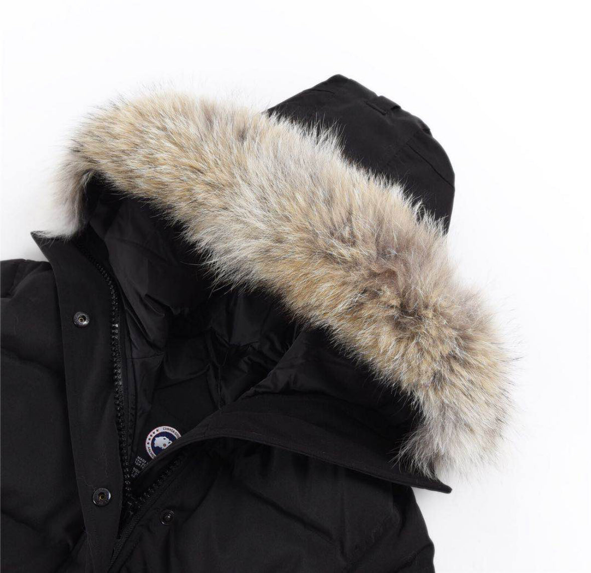 Cg jacket