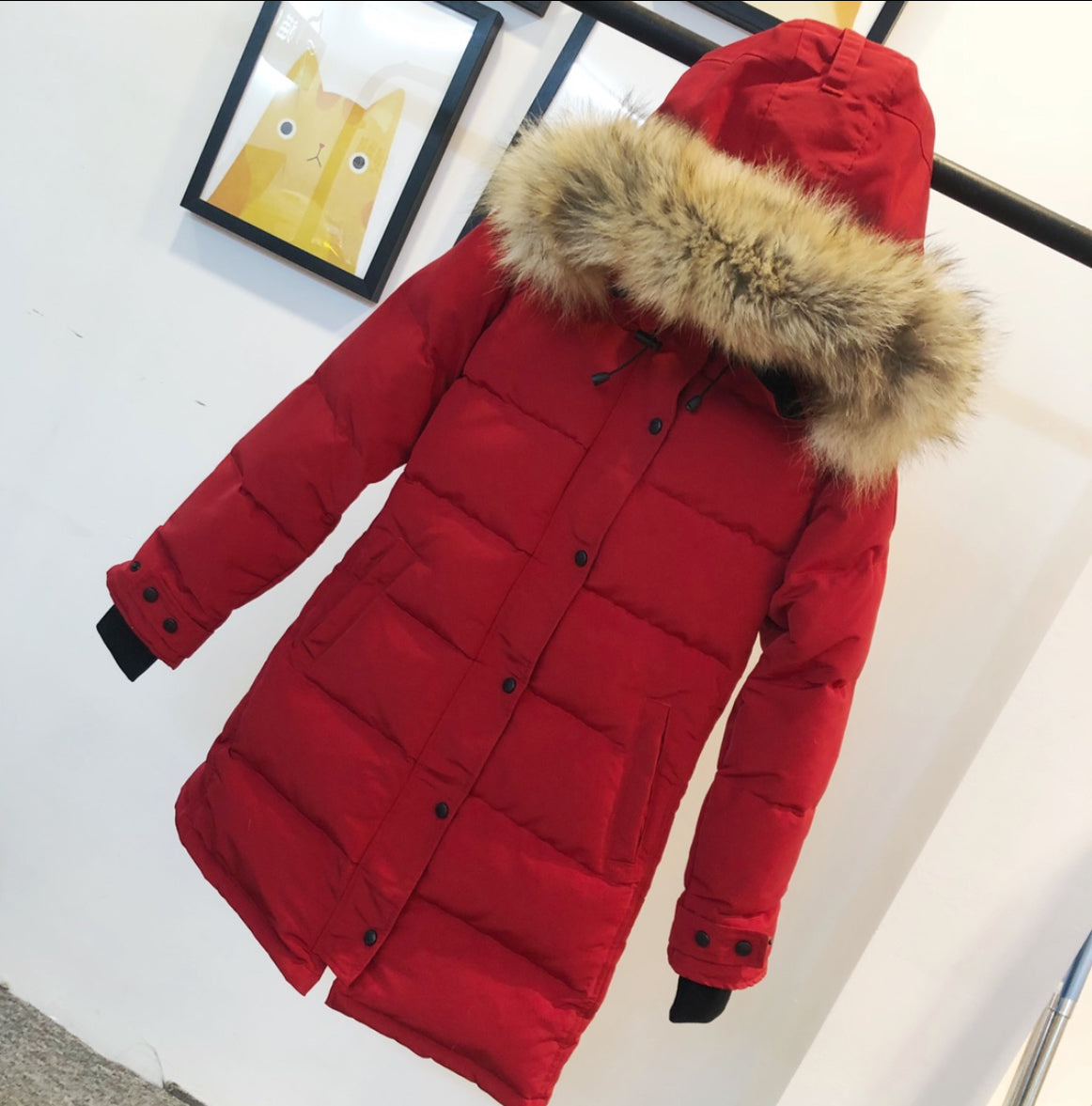 Cg jacket