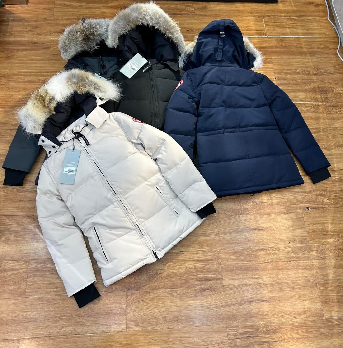 Cg jacket/ladies