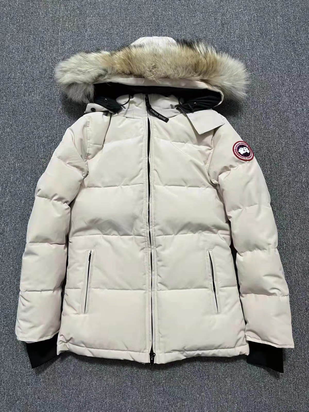 Cg jacket/ladies