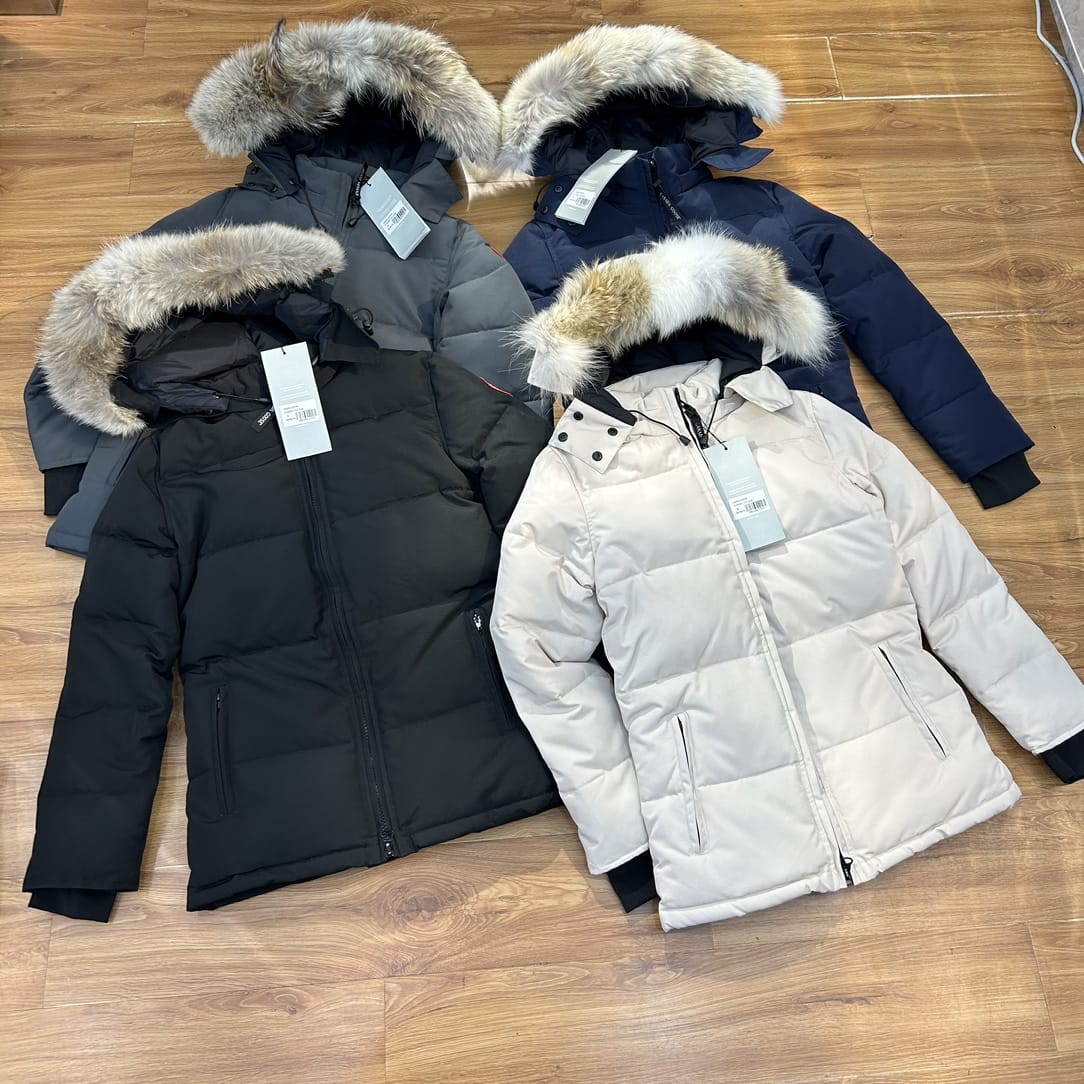 Cg jacket/ladies