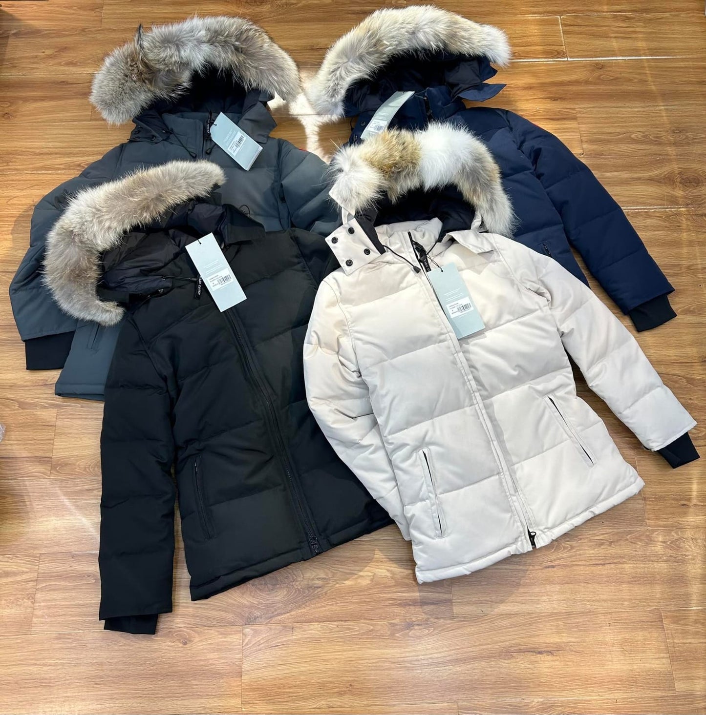 Cg jacket/ladies