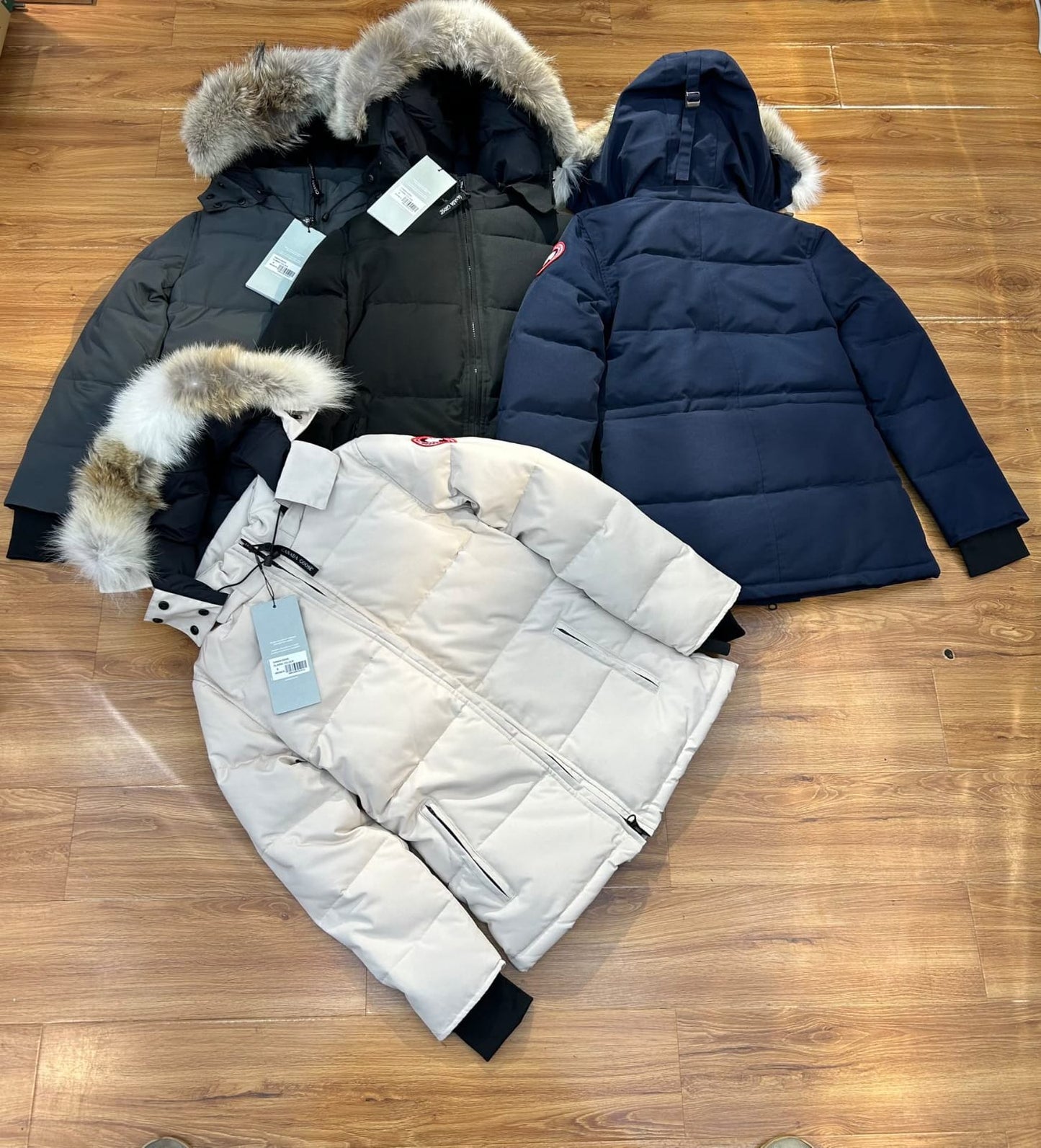 Cg jacket/ladies