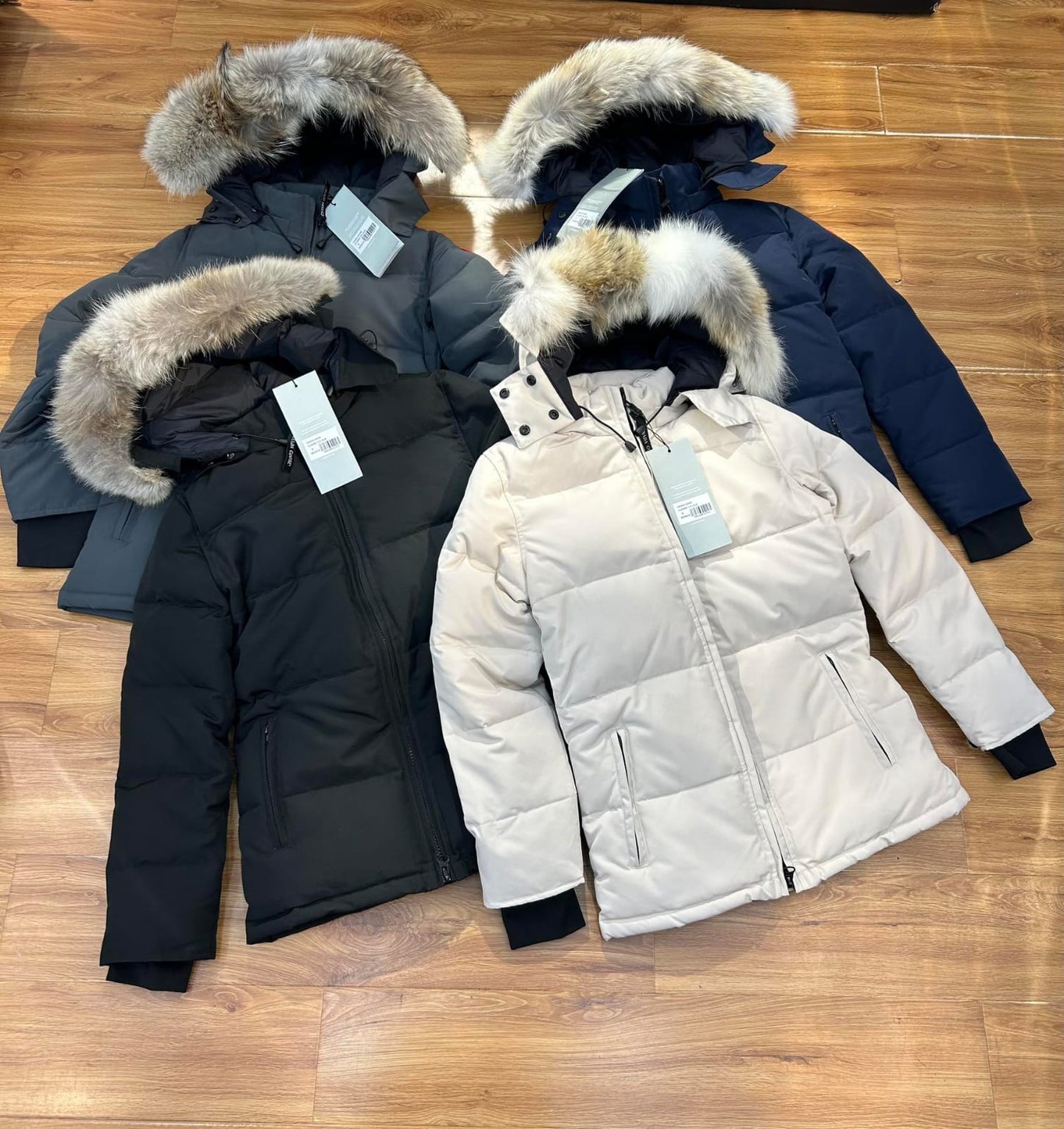 Cg jacket/ladies