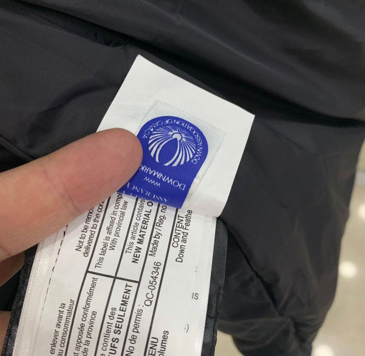 CG  parka jacket