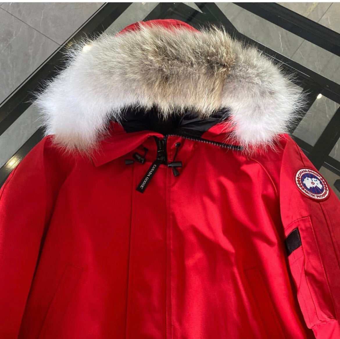 CG bomber jacket