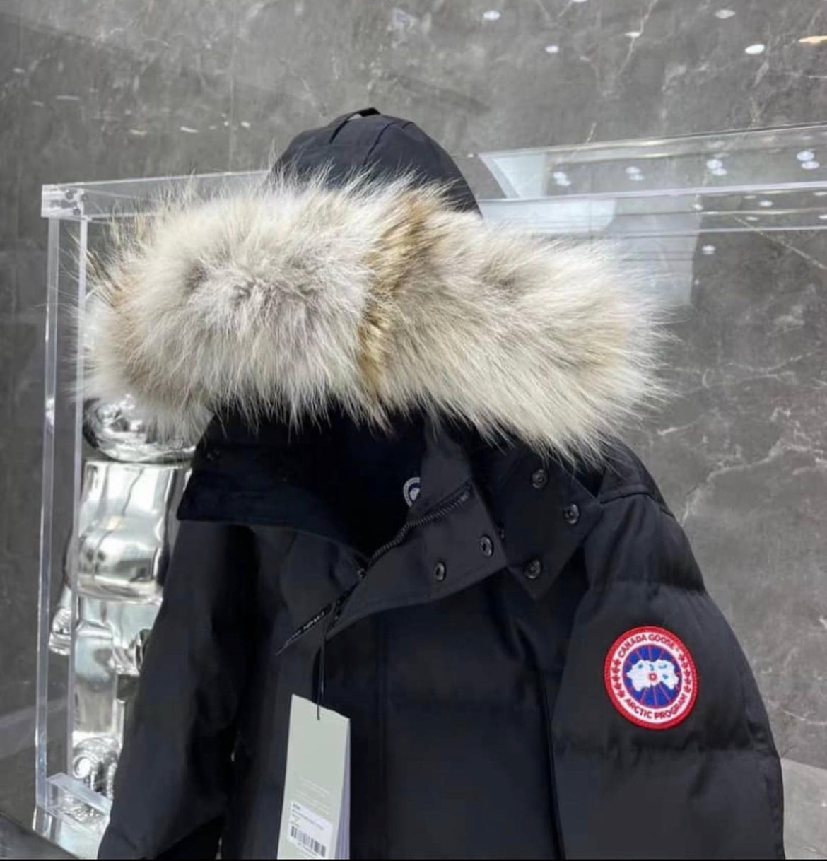 CG jacket