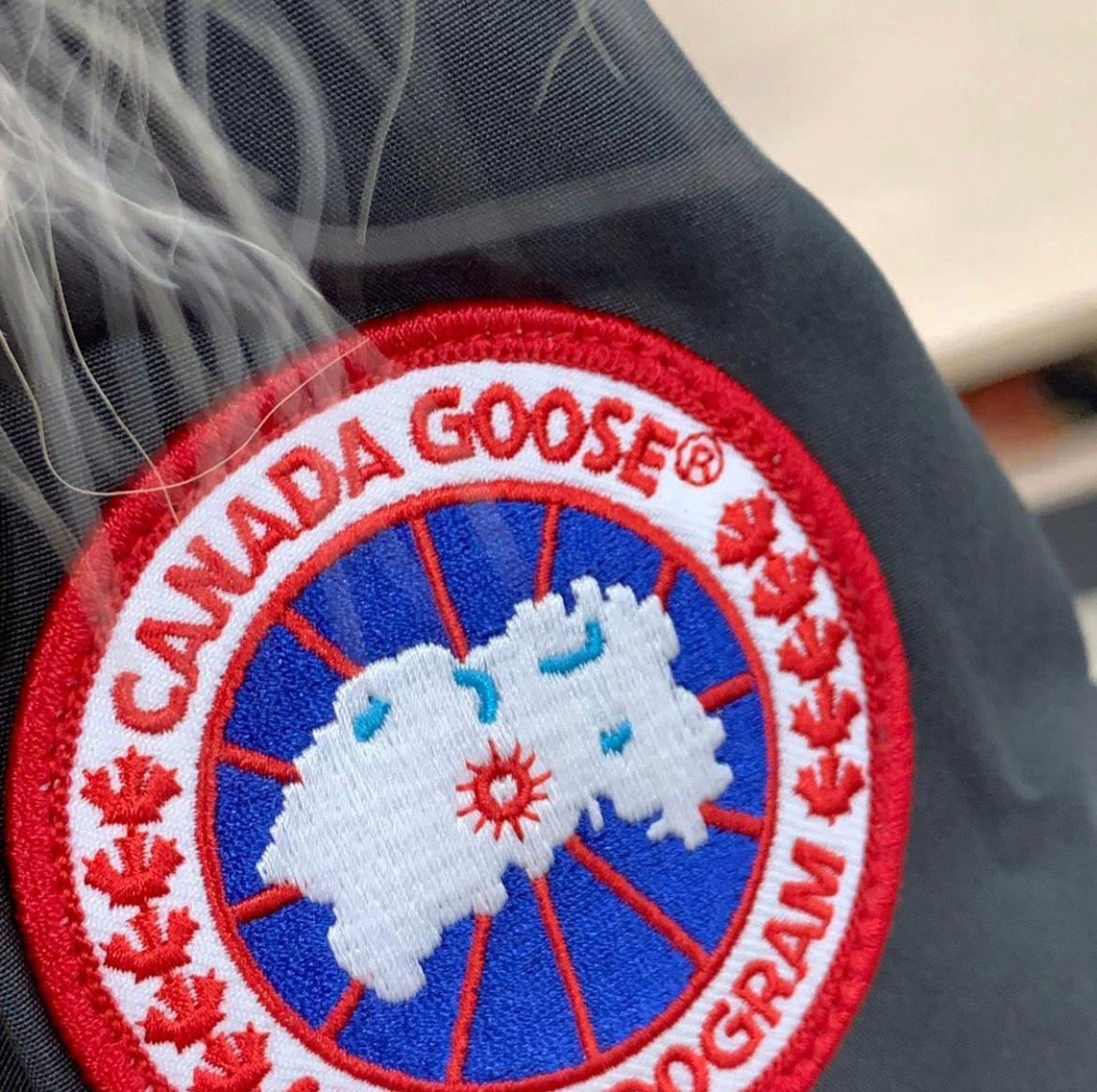 CG  parka jacket